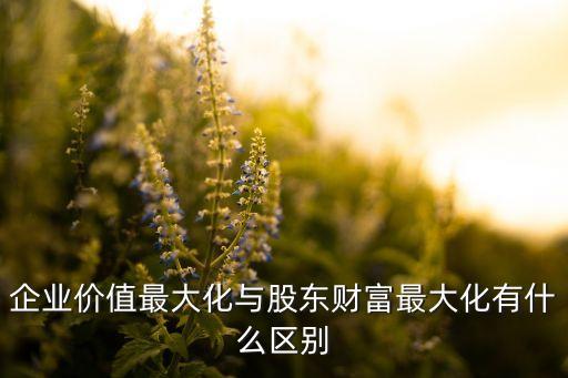 企業(yè)價(jià)值最大化與股東財(cái)富最大化有什么區(qū)別