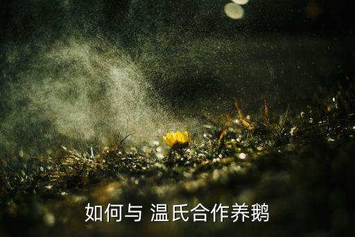 如何與 溫氏合作養(yǎng)鵝