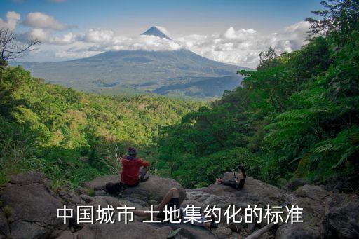 中國城市 土地集約化的標(biāo)準(zhǔn)