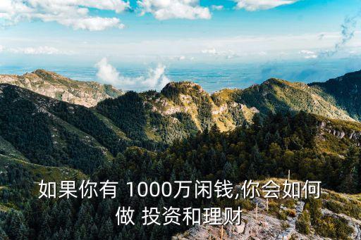 如果你有 1000萬閑錢,你會(huì)如何做 投資和理財(cái)