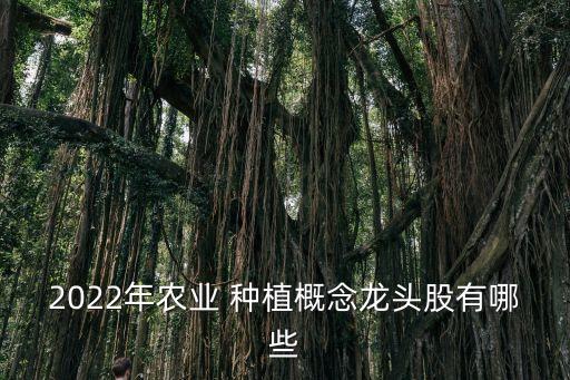 2022年農(nóng)業(yè) 種植概念龍頭股有哪些