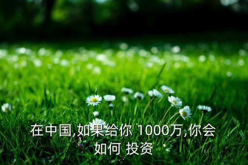 在中國,如果給你 1000萬,你會(huì)如何 投資