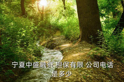 寧夏西部擔保公司,寧夏農(nóng)業(yè)信貸擔保公司