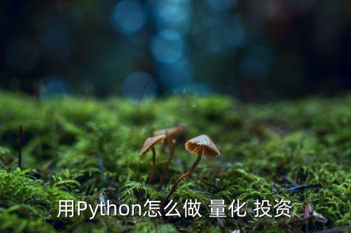 用Python怎么做 量化 投資