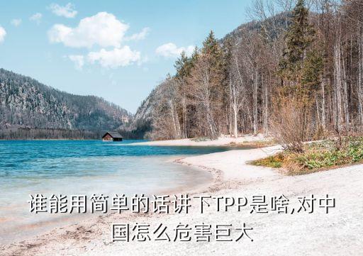 論tpp對中國經(jīng)濟的影響