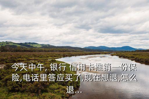 今天中午, 銀行 信用卡推銷一份保險,電話里答應買了,現(xiàn)在想退,怎么退...