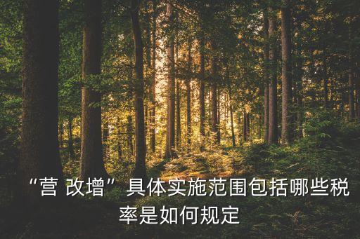 上海電信營(yíng)改增