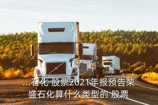 ...石化 股票2021年報預(yù)告榮盛石化算什么類型的 股票