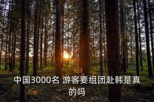 中國3000名 游客要組團(tuán)赴韓是真的嗎