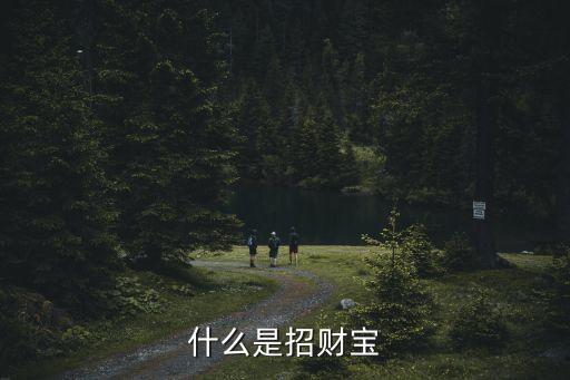 什么是招財(cái)寶