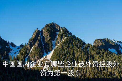 中國國內企業(yè)有哪些企業(yè)被外資控股外資為第一股東