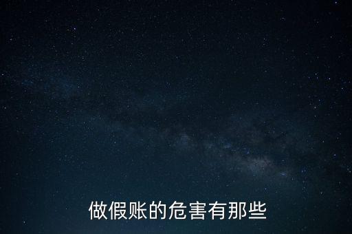 公司內部帳目做假