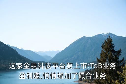 這家金融科技平臺要上市:ToB業(yè)務(wù)盈利難,悄悄增加了撮合業(yè)務(wù)