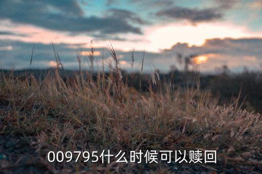  009795什么時(shí)候可以贖回