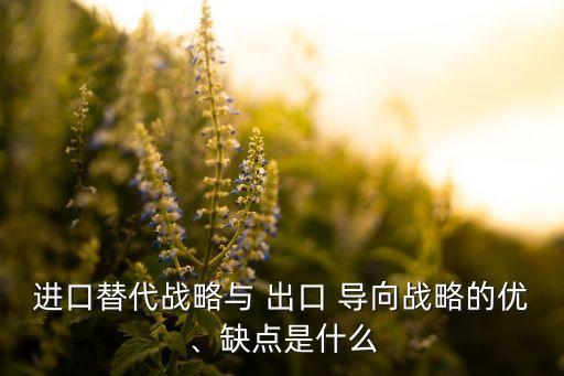 中國(guó)不適合出口導(dǎo)向型經(jīng)濟(jì)