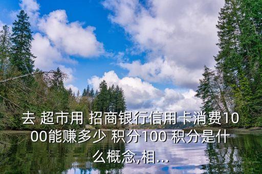 去 超市用 招商銀行信用卡消費(fèi)1000能賺多少 積分100 積分是什么概念,相...