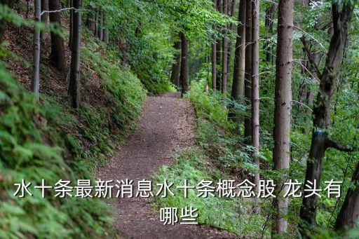 污水處理股票龍頭股,全國(guó)十大污水處理廠設(shè)備廠家