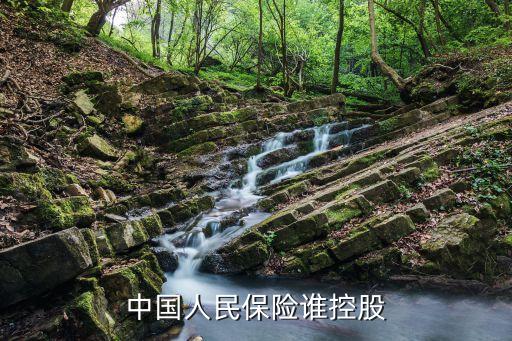 中國人民保險(xiǎn)誰控股