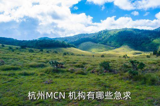 杭州MCN 機(jī)構(gòu)有哪些急求