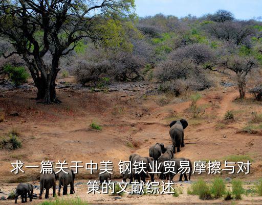 求一篇關(guān)于中美 鋼鐵業(yè)貿(mào)易摩擦與對策的文獻綜述