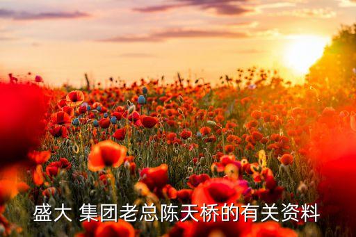 浙江圣達(dá)集團(tuán)董事長(zhǎng),四川圣達(dá)高集團(tuán)董事長(zhǎng)是誰(shuí)