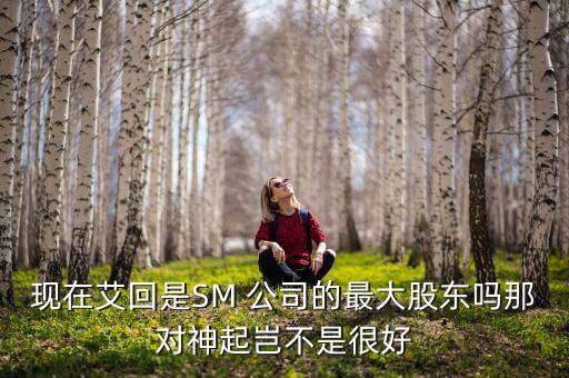 現(xiàn)在艾回是SM 公司的最大股東嗎那對(duì)神起豈不是很好