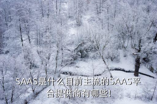 SAAS是什么目前主流的SAAS平臺提供商有哪些!