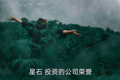  星石 投資的公司榮譽(yù)