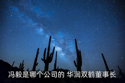 馮毅是哪個(gè)公司的 華潤雙鶴董事長