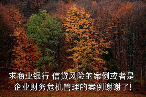 求商業(yè)銀行 信貸風(fēng)險的案例或者是 企業(yè)財務(wù)危機管理的案例謝謝了!