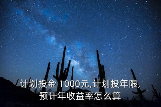 計劃投金 1000元,計劃投年限,預(yù)計年收益率怎么算