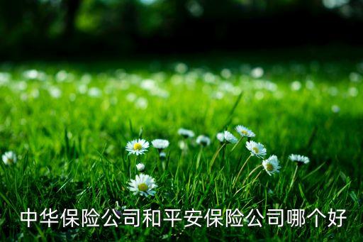  中華保險(xiǎn)公司和平安保險(xiǎn)公司哪個(gè)好