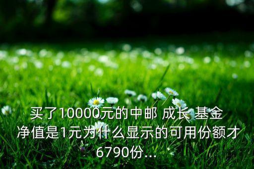 買了10000元的中郵 成長 基金 凈值是1元為什么顯示的可用份額才6790份...