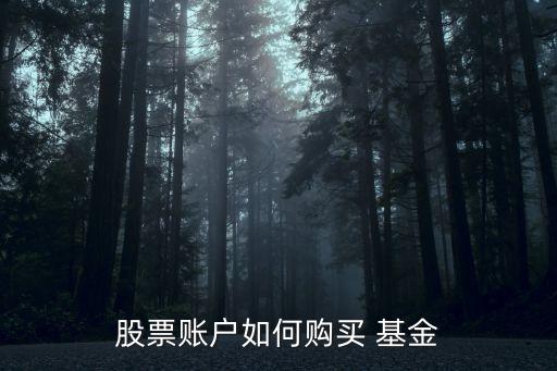 股票賬戶如何購買 基金