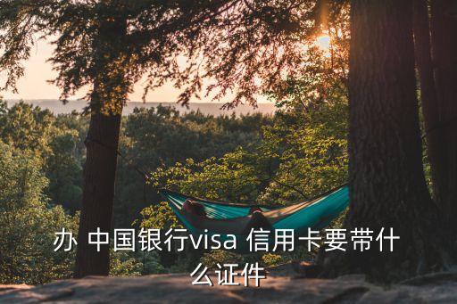 辦 中國銀行visa 信用卡要帶什么證件