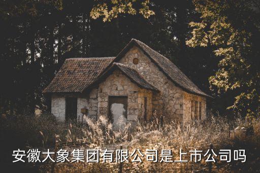 安徽大象集團有限公司是上市公司嗎