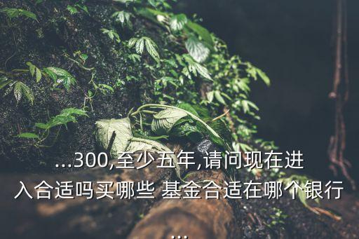 ...300,至少五年,請問現(xiàn)在進(jìn)入合適嗎買哪些 基金合適在哪個(gè)銀行...