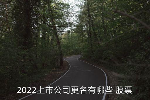 2022上市公司更名有哪些 股票