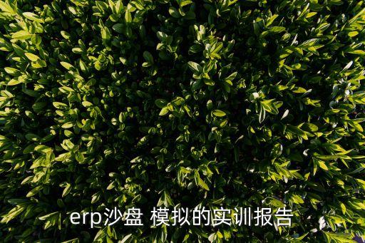 erp沙盤 模擬的實(shí)訓(xùn)報(bào)告