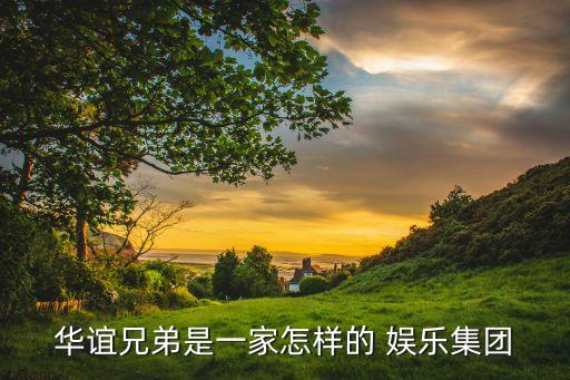 實(shí)景娛樂(lè)有限公司,華誼兄弟(天津)實(shí)景娛樂(lè)有限公司