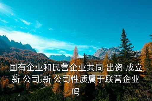 國有企業(yè)和民營企業(yè)共同 出資 成立新 公司,新 公司性質(zhì)屬于聯(lián)營企業(yè)嗎