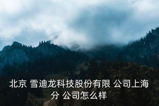 北京 雪迪龍科技股份有限 公司上海分 公司怎么樣