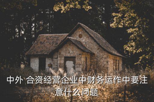 中外 合資經(jīng)營企業(yè)中財務(wù)運作中要注意什么問題