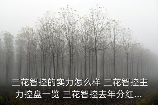  三花智控的實力怎么樣 三花智控主力控盤一覽 三花智控去年分紅...