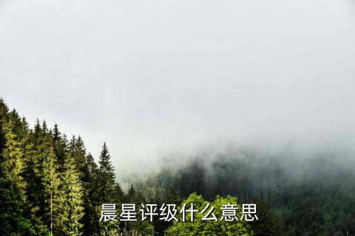  晨星評(píng)級(jí)什么意思