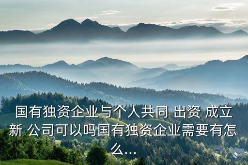 國有獨(dú)資企業(yè)與個人共同 出資 成立新 公司可以嗎國有獨(dú)資企業(yè)需要有怎么...