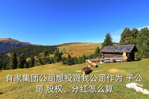 有家集團(tuán)公司想投資我公司作為 子公司 股權(quán)、分紅怎么算