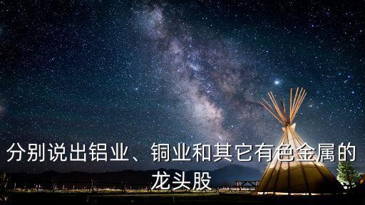 分別說出鋁業(yè)、銅業(yè)和其它有色金屬的龍頭股