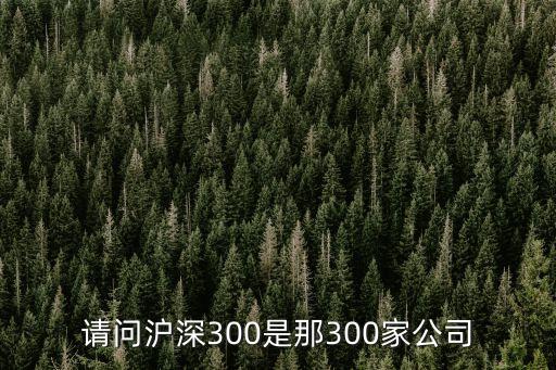 請問滬深300是那300家公司