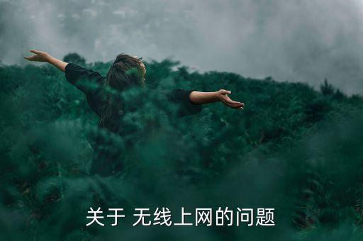 關(guān)于 無線上網(wǎng)的問題